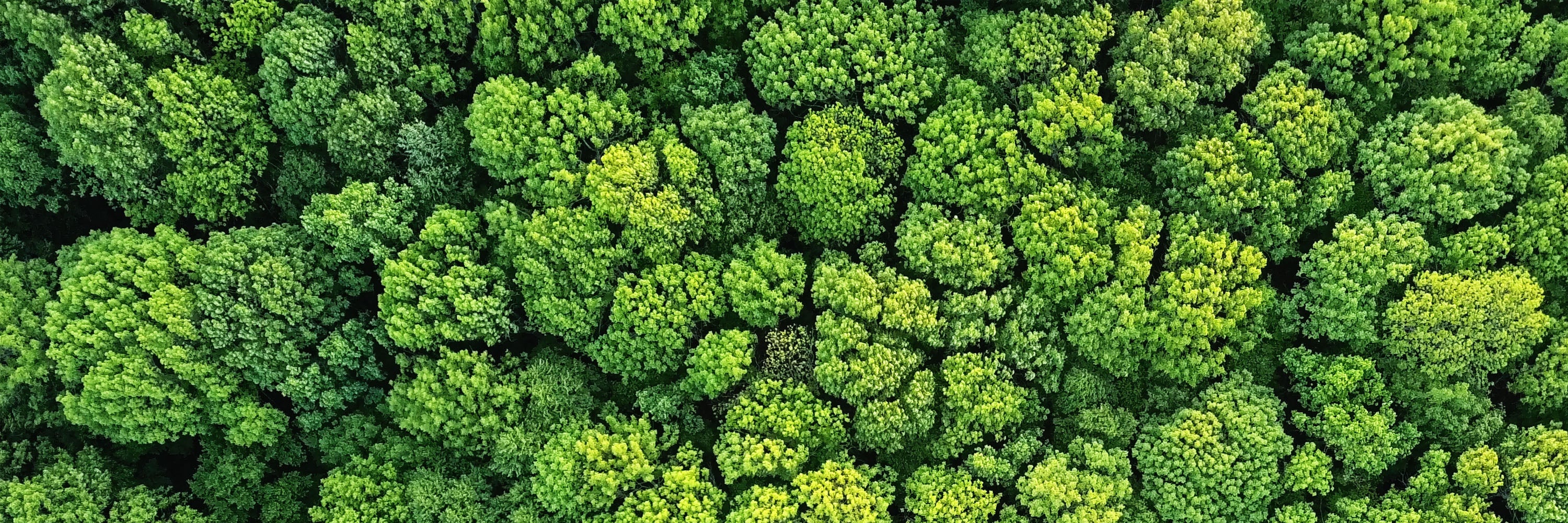 Eco-friendly